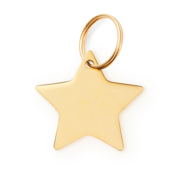 Star Pet ID Tag